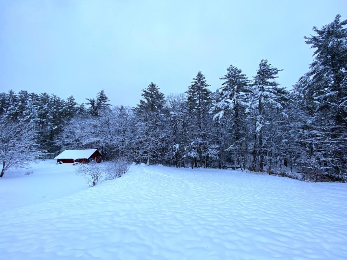 Cranmore Mountain Lodge Bed & Breakfast North Conway Zewnętrze zdjęcie